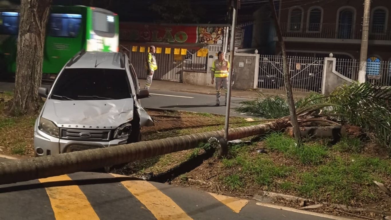 Carro bate em árvore e causa interdição em avenida de Campinas  