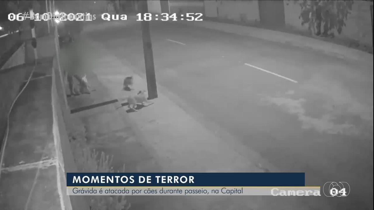 Grávida é atacada por cães durante passeio com o pet em Palmas