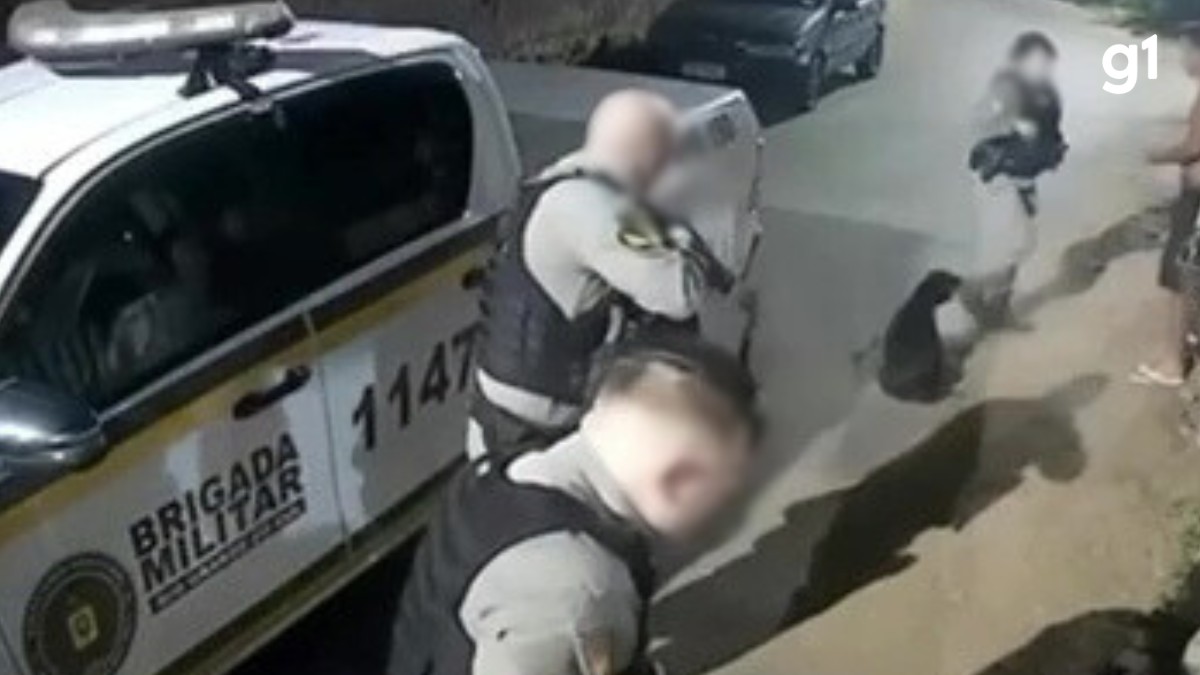 VÍDEO: Cão comunitário é baleado por policial militar no RS; ONG resgatou o animal, que está internado