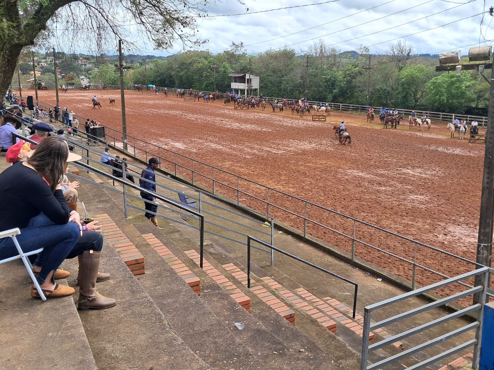 Ataque de abelhas durante rodeio leva quatro pessoas para hospital no RS; dois cavalos também foram atingidos