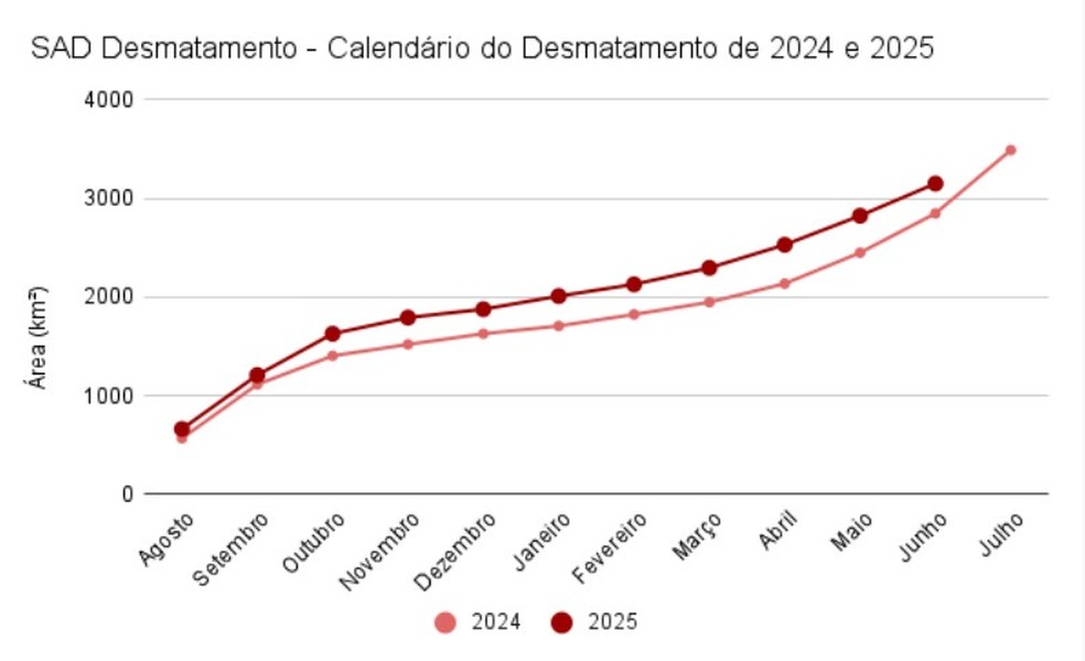 Calendário de desmatamento de 2024 e 2025. — Foto: Divulgação