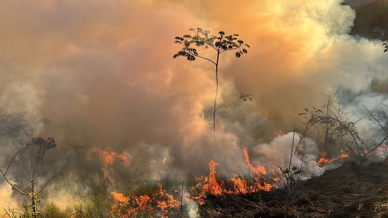 Defesa Civil aponta risco de 'emergência' para incêndios no Vale do Paraíba