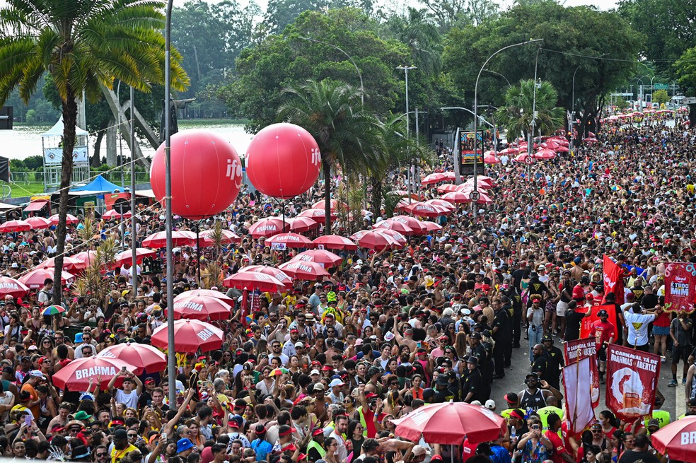 Foliões curtem o bloco Bicho Maluco Beleza, com Alceu Valença, no pré-carnaval de SP — Foto: Roberto Sungi/Ato Press/Estadão Conteúdo
