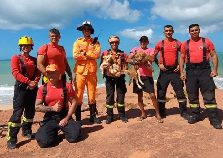 Cães são resgatados pelos bombeiros após ficarem presos em falésia no litoral sul do RN