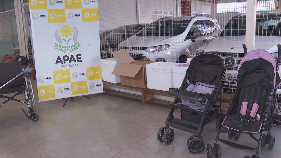 Apae de Goiânia recebe doações de objetos deixados no aeroporto da capital — Foto: Reprodução/TV Globo