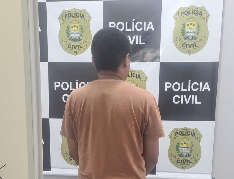 Homem foi preso suspeito de aplicar golpes com milhas aéreas no Piauí e São Paulo — Foto: Divulgação/PC-PI