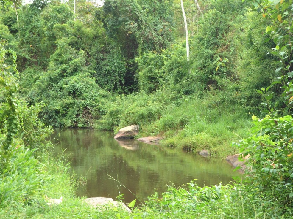 Bahia publica portarias de reconhecimento de comunidades quilombolas no sul e oeste do estado — Foto: Divulgação/Incra-BA