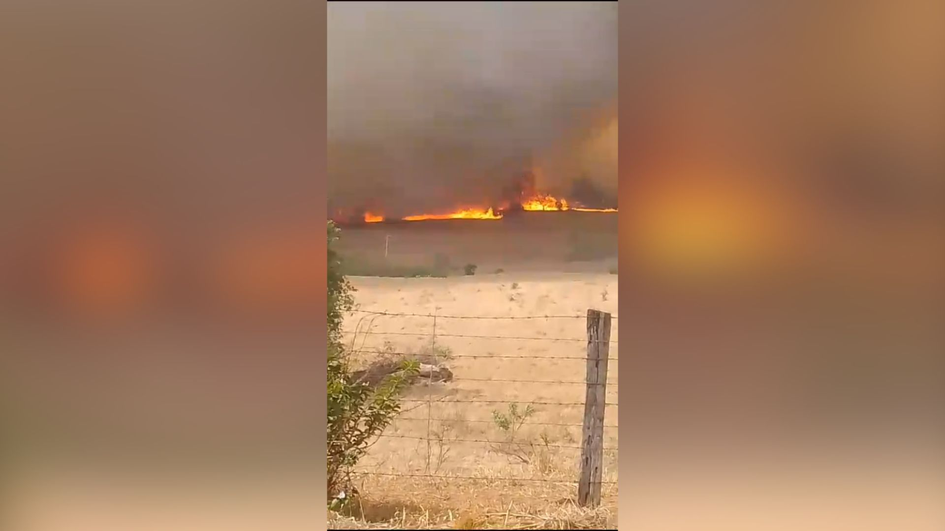 Homem desaparece durante incêndio no interior de SP