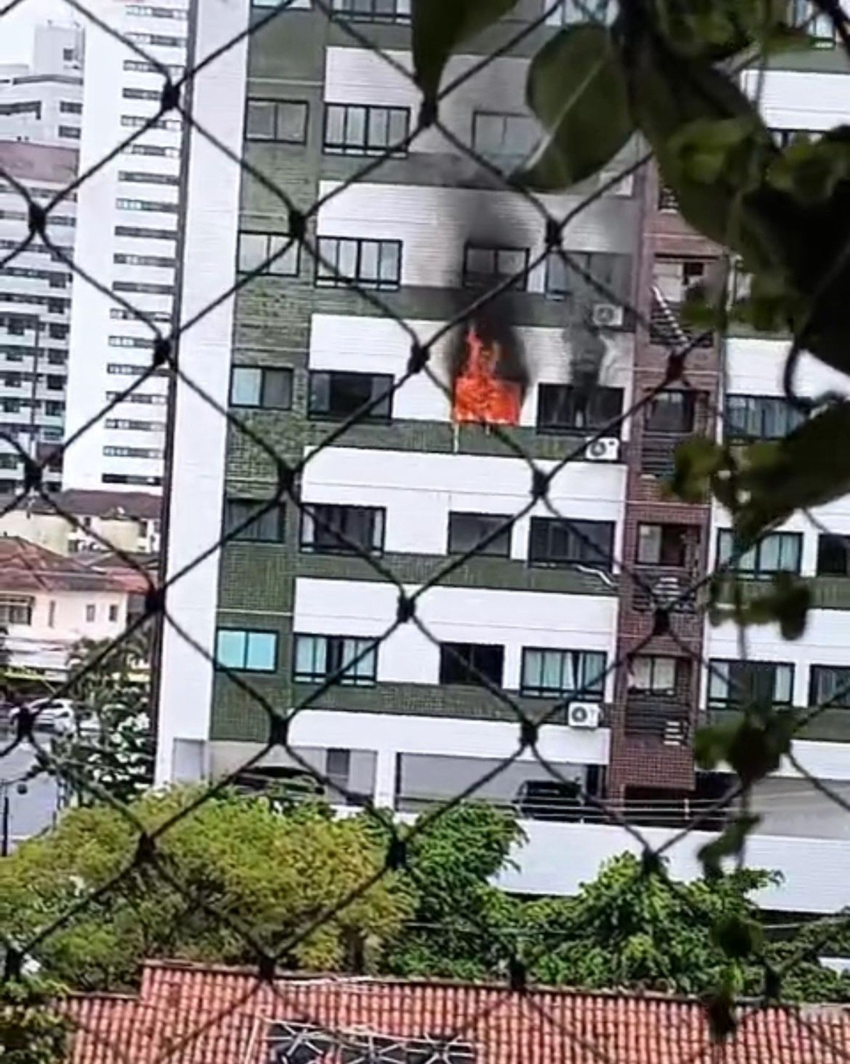 Homem morre e bebê de 29 dias é resgatado de incêndio em prédio no Recife; VÍDEO mostra chamas