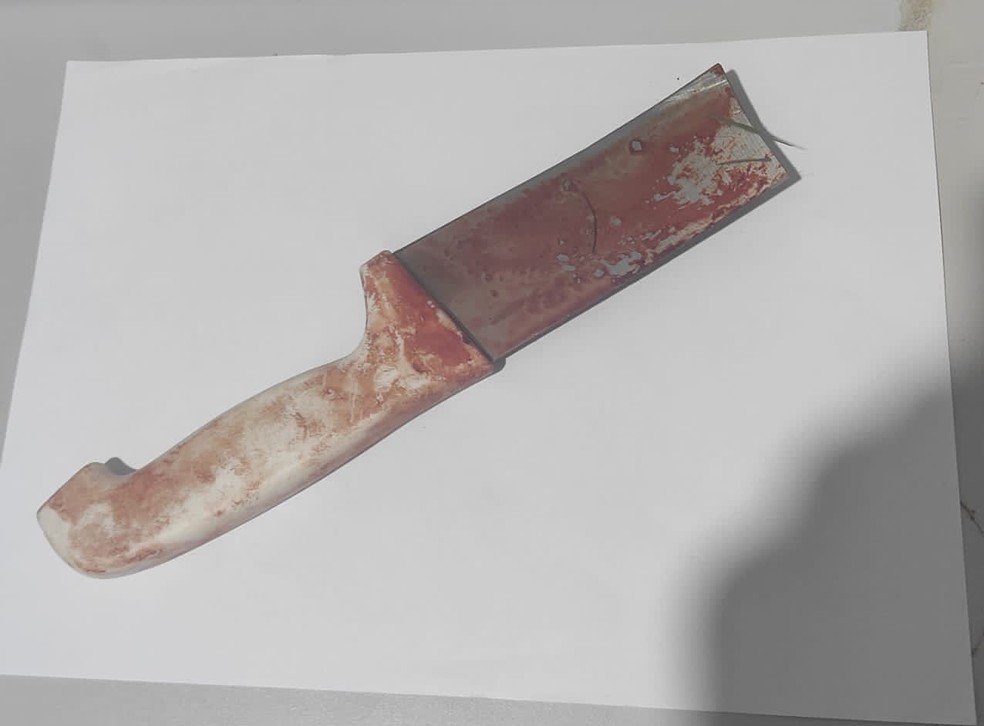 Arma do crime foi encontrada próximo a um parquinho infantil, em Teodoro Sampaio (SP) — Foto: Polícia Civil