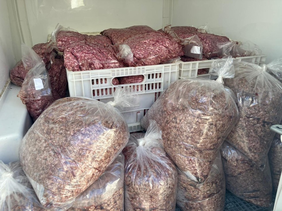 Polícia Civil de Campinas (SP) apreendeu 2 toneladas de carne em frigorífico clandestino no Jd. Novo Maracanã nesta quinta (8) — Foto: Gabriela Ferraz/EPTV