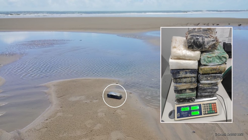 Polícia apreendeu 20,5 kg de cocaína espalhados pela faixa de areia de praias no Ceará. — Foto: Polícia Militar/ Divulgação