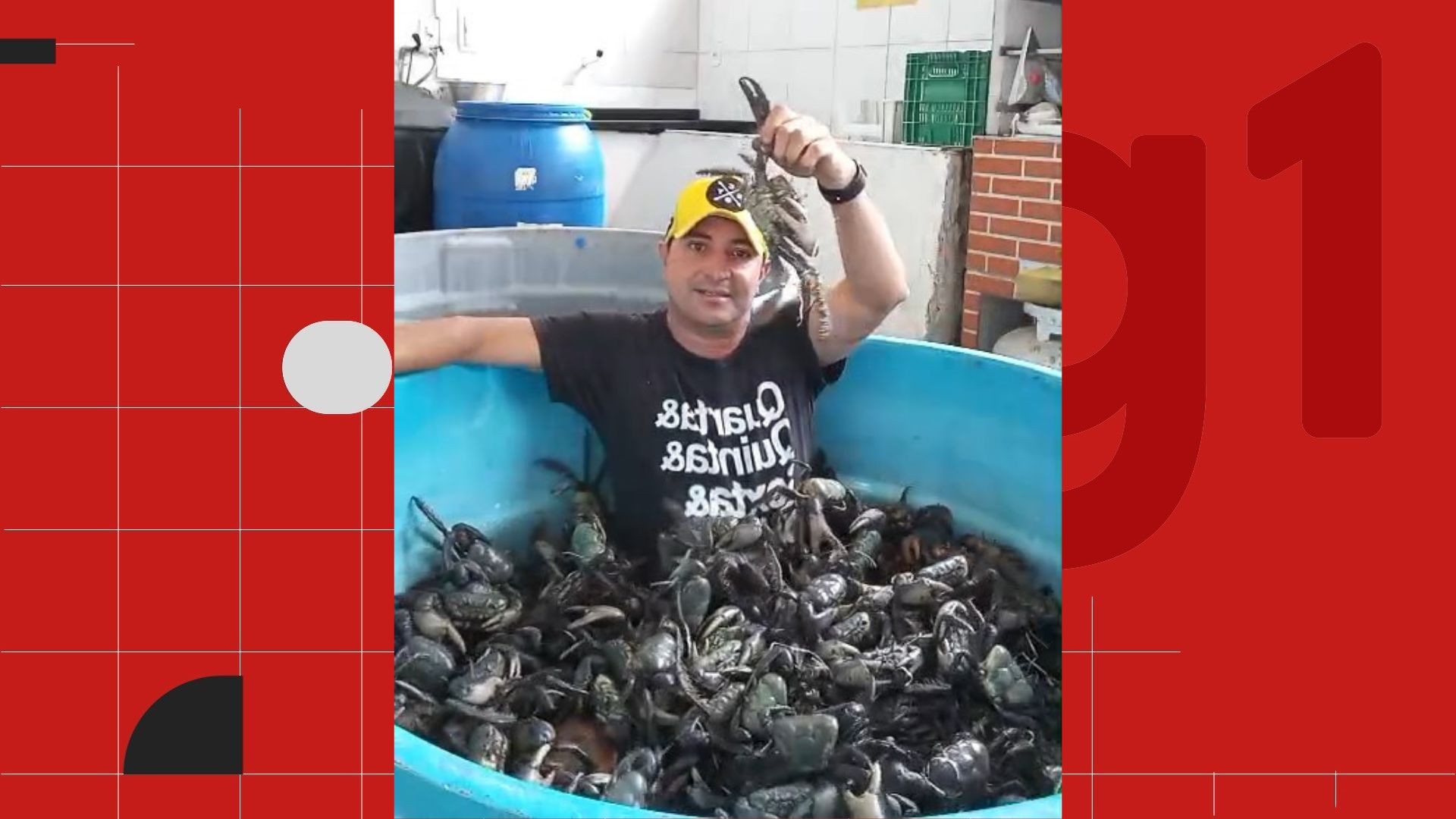 VÍDEO: vendedor viraliza ao entrar em 'piscina' com 600 caranguejos