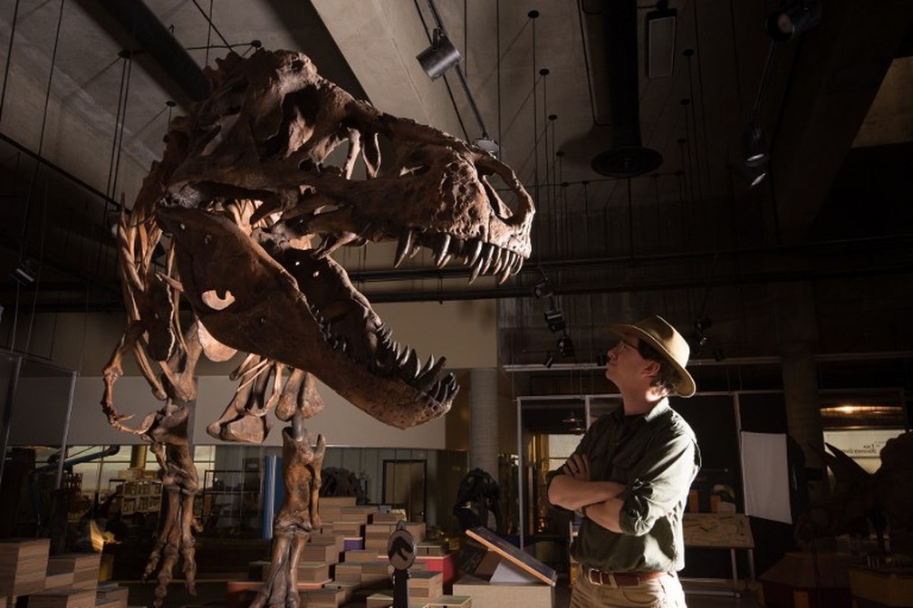 Tiranossauro Rex encontrado no Canadá em 1991 é o maior do mundo, Natureza