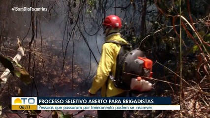 Governo abre processo seletivo para contratação de brigadistas no Tocantins