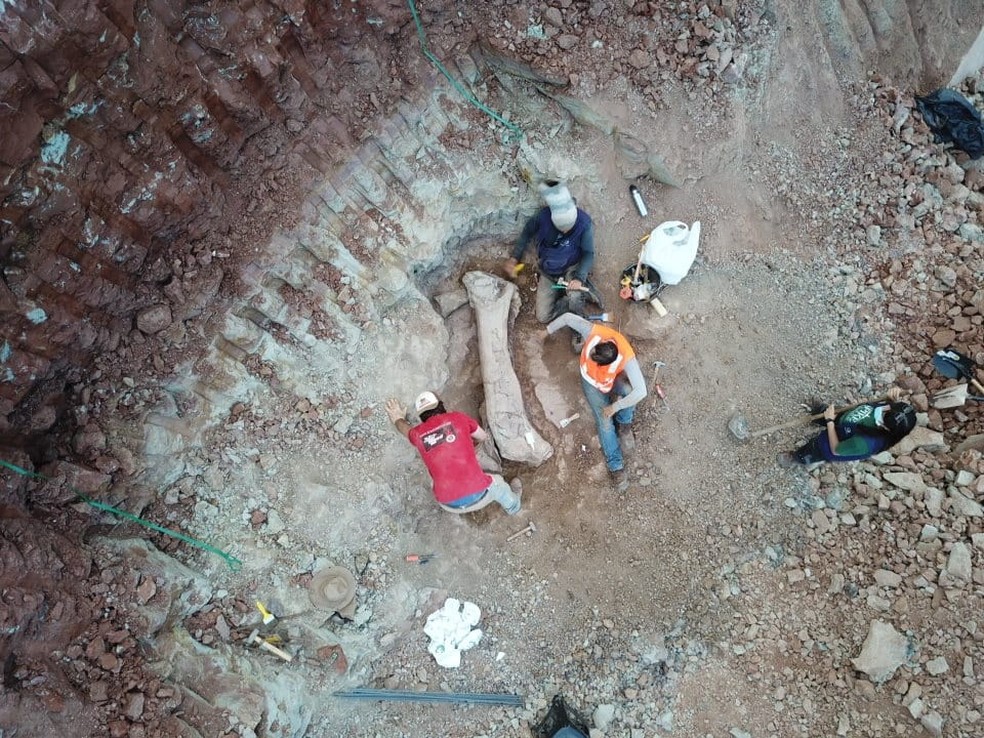 Pedaço de osso de dinossauro encontrado em Davinópolis, no Maranhão — Foto: Divulgação/Brado