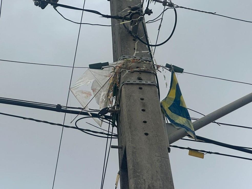 Mais de 207 mil ficaram sem luz no RJ em 2024 por causa de pipas — Foto: divulgação