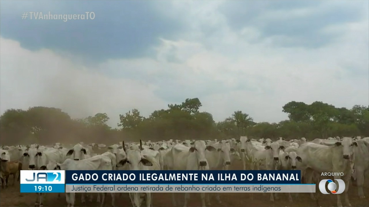 VÍDEOS: Jornal Anhanguera 2ª Edição-TO de sexta-feira, 16 de fevereiro de 2024