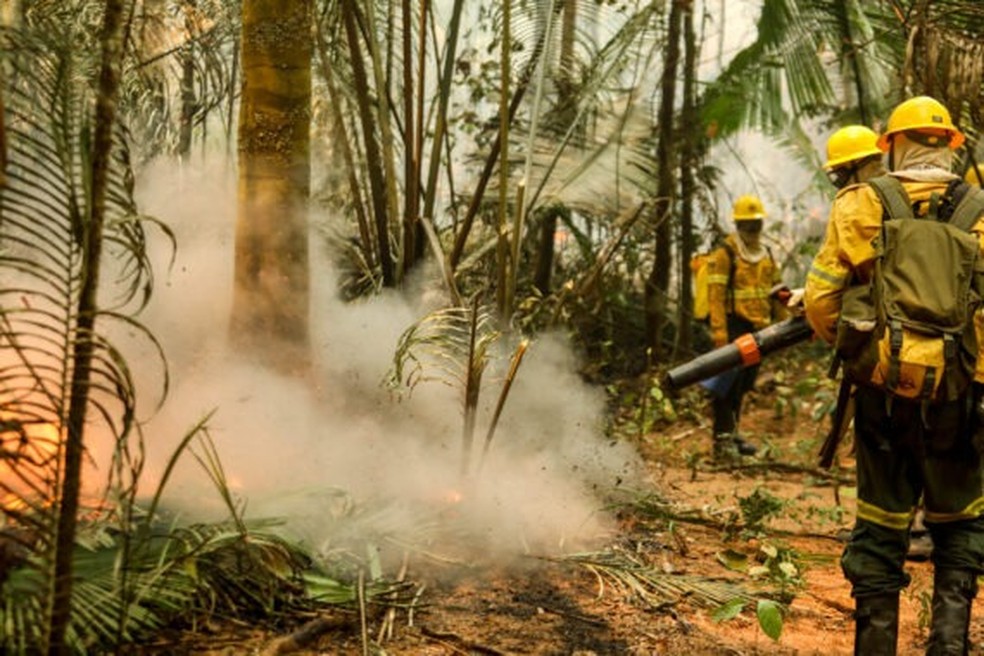 Combate a queimadas em Rondônia — Foto: Secom/ Divulgação