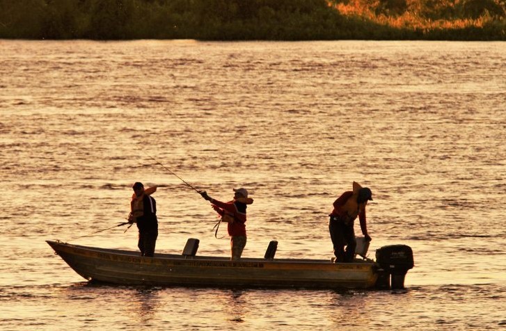 Piracema: período de pesca liberada termina na próxima semana em MS