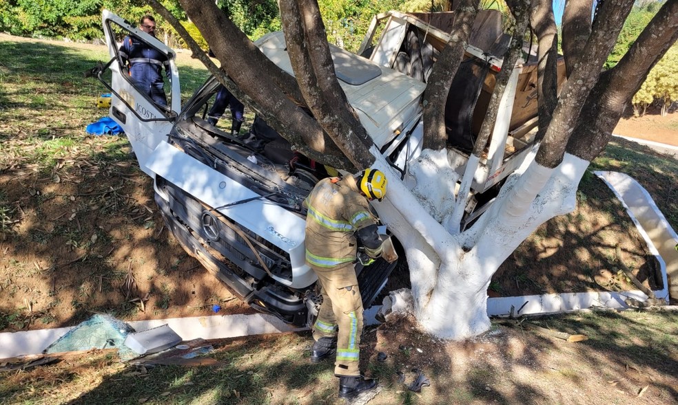 Motorista fica preso às ferragens após bater caminhão em árvores, na BR-459, em Santa Rita do Sapucaí, MG — Foto: Corpo de Bombeiros