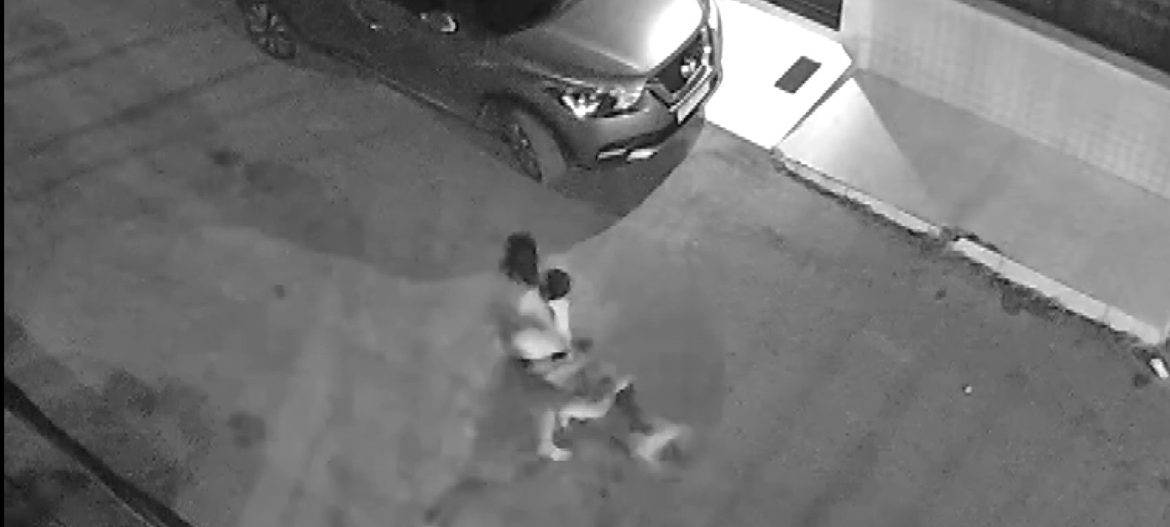 VÍDEO: Criança com autismo fica ferida após ser atacada por cachorro da raça pitbull na Bahia 