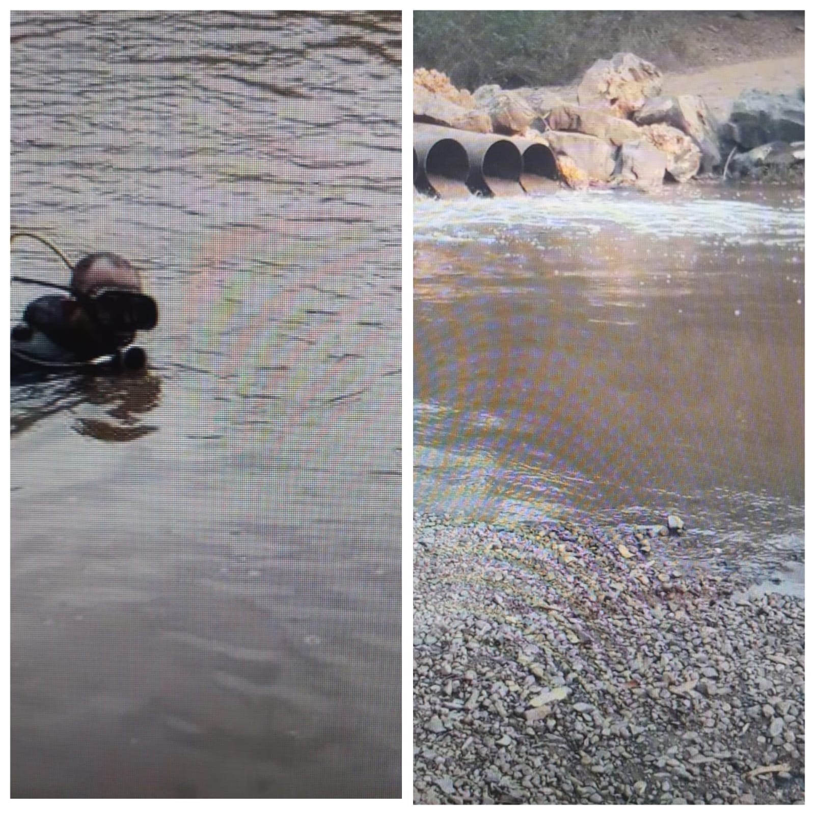 Idoso desaparece após sair de casa montado a cavalo e é encontrado morto em rio