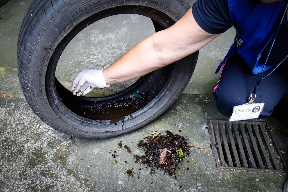 Vistoria contra a dengue em Porto Alegre (RS) — Foto: Cristine Rochol/PMPA