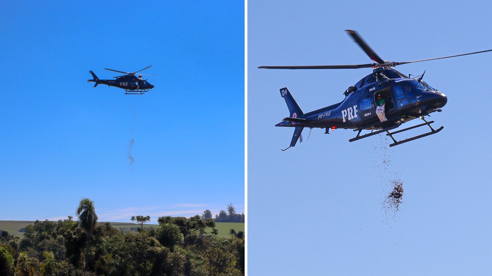 Cerca de 24 milhões de sementes de árvores são lançadas de cima de helicópteros no Paraná — Foto: Thiarles França e Juliana Barbosa