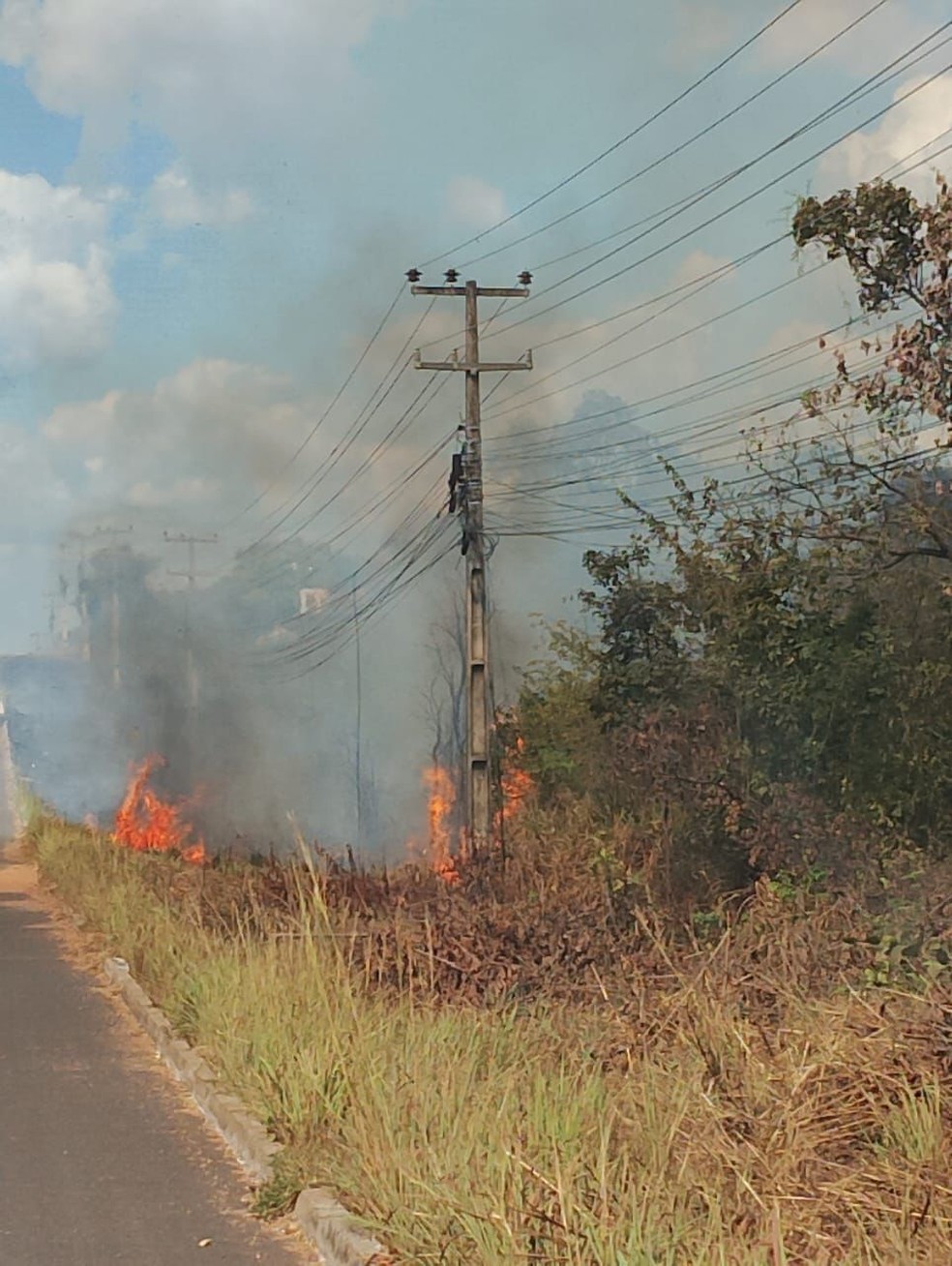 Maranhão é o 2º estado com mais focos de queimadas no Brasil, aponta INPE — Foto: Divulgação/Equatorial Maranhão