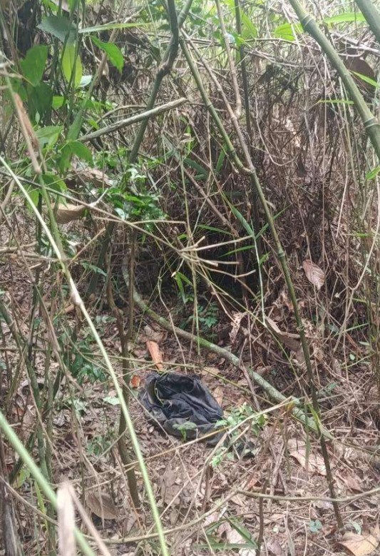 Corpo de homem desaparecido há 16 dias é encontrado em zona rural de Guaratinguetá