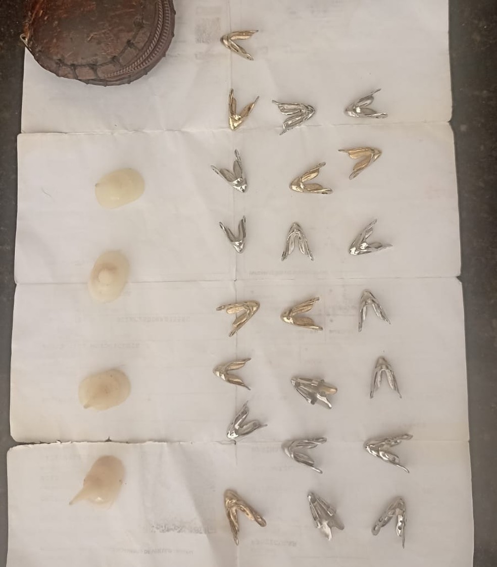 Esporas artificiais são usadas para aumentar o poder de letalidade dos animais. — Foto: Divulgação.