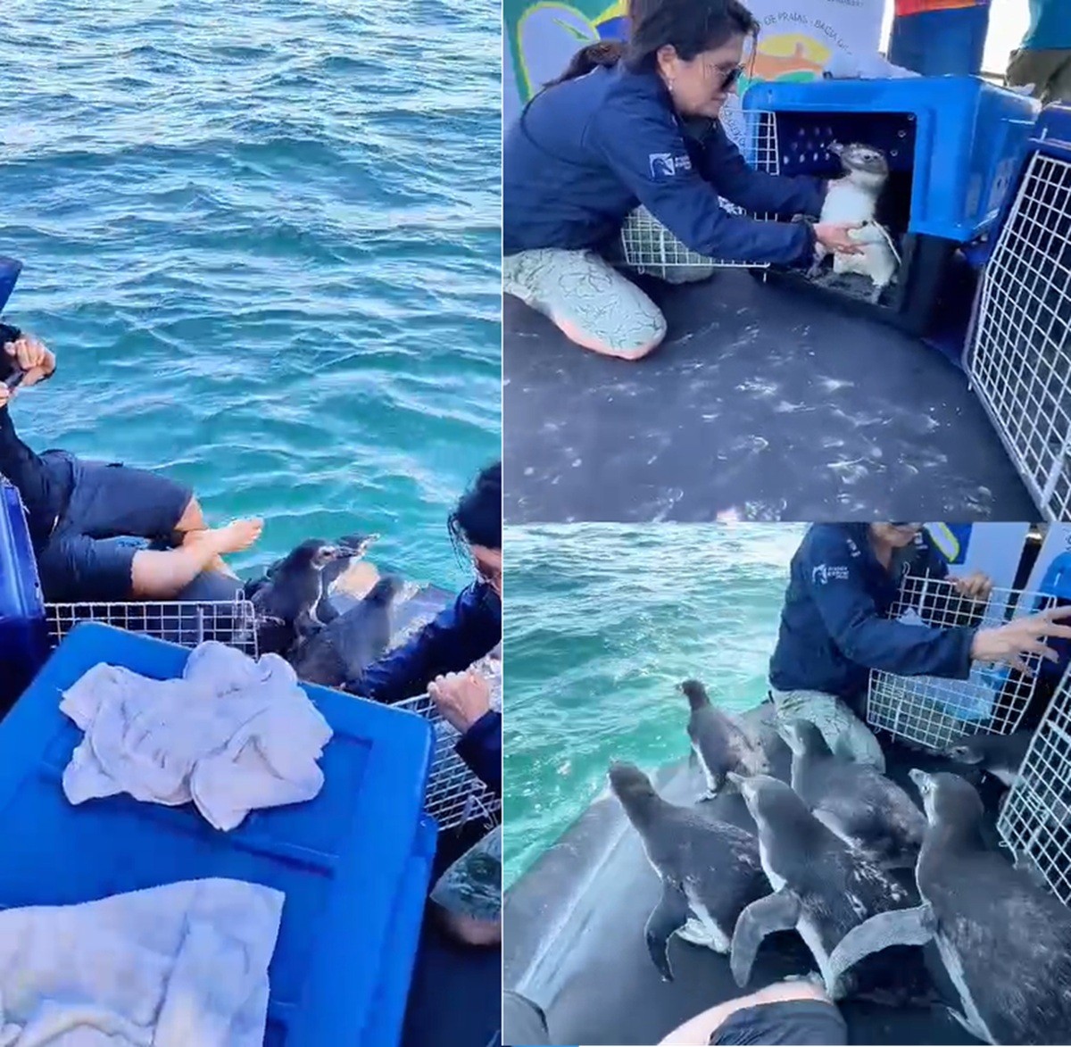 Você Não Tá Convidada pro Meu Bat Mitzvá!