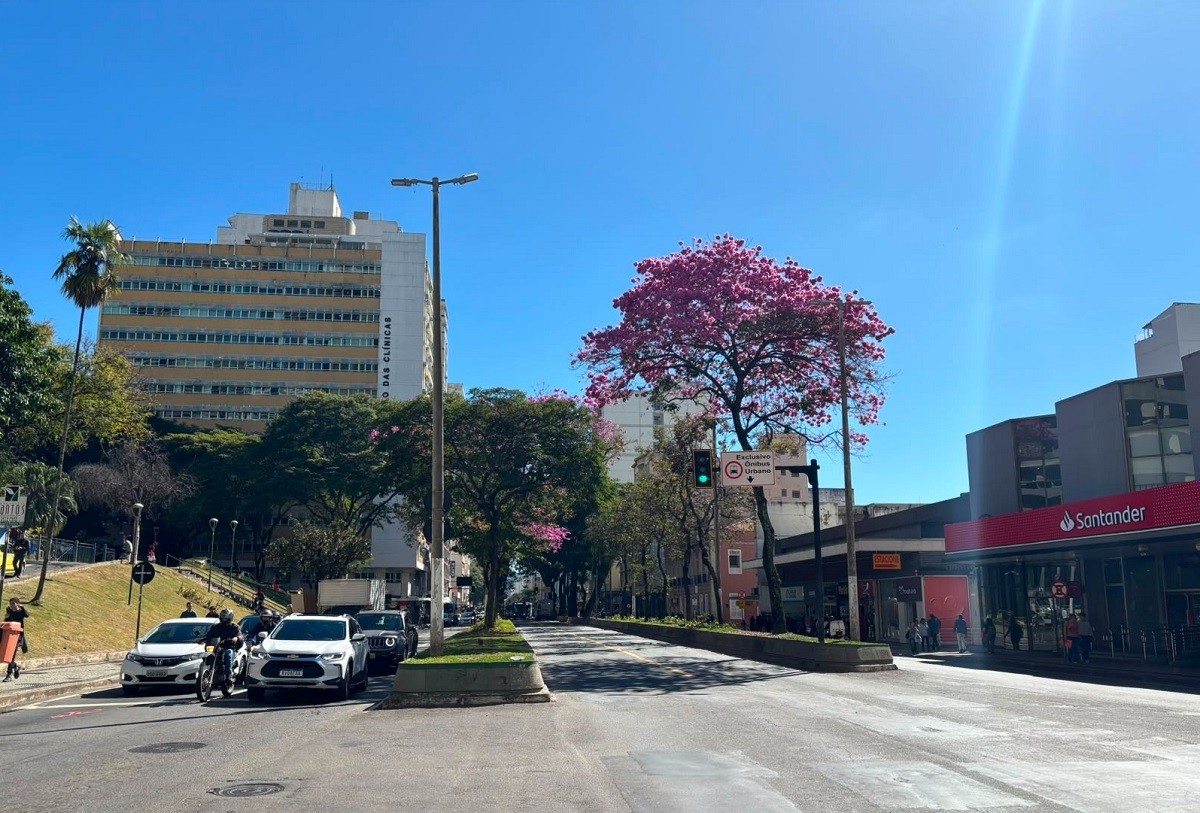 Primeira semana de agosto tem tempo seco e temperaturas de até 32 °C em Juiz de Fora e região