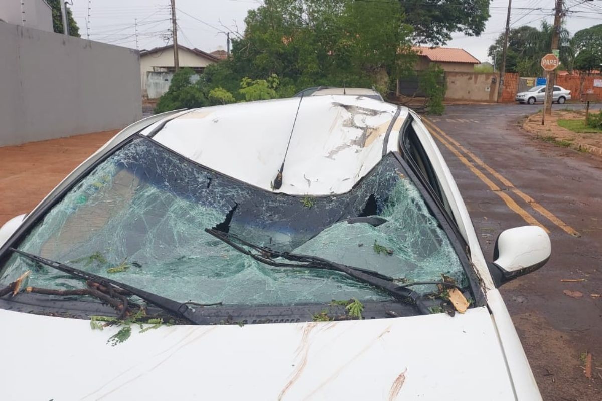 Motorista de app fica ferido após carro ser esmagado por árvore em temporal de Campo Grande