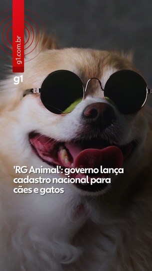 'RG Animal': governo lana cadastro nacional p...