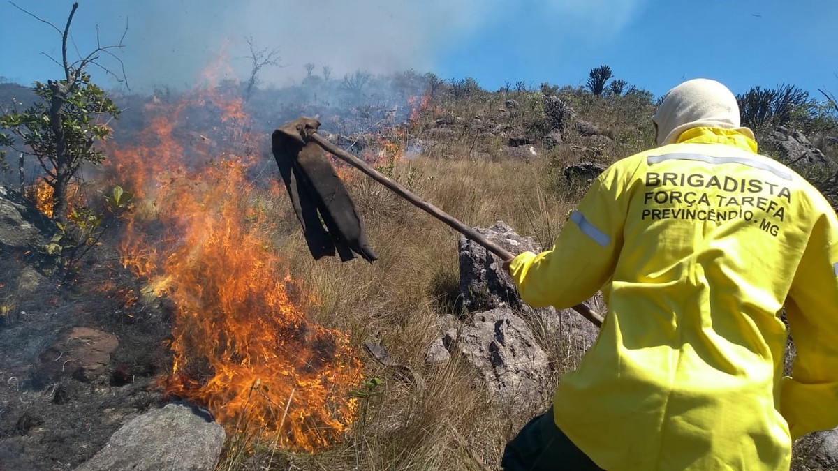 Inscrições para contratação de brigadistas temporários no Instituto