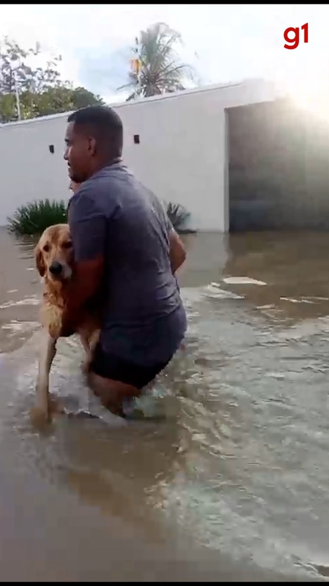 Córrego transborda e alaga casas em Gurupi