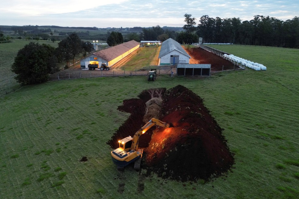 Escavadeira abre buraco em chão de granja avícola na cidade de Montenegro, no Rio Grande do Sul, após a confirmação de caso de gripe aviária. — Foto: REUTERS/Diego Vara