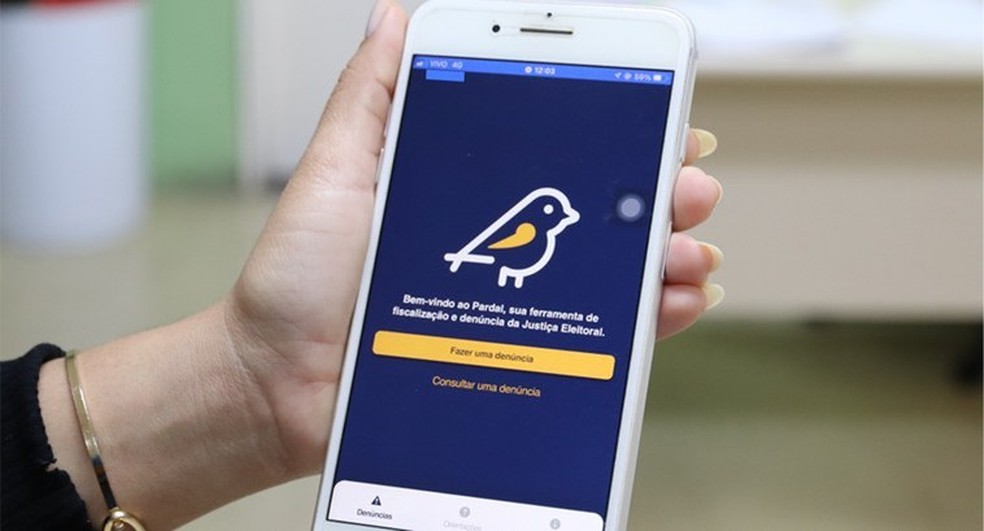 Eleições 2024: App Pardal recebe denúncias de propaganda eleitoral irregular — Foto: Justiça Eleitoral