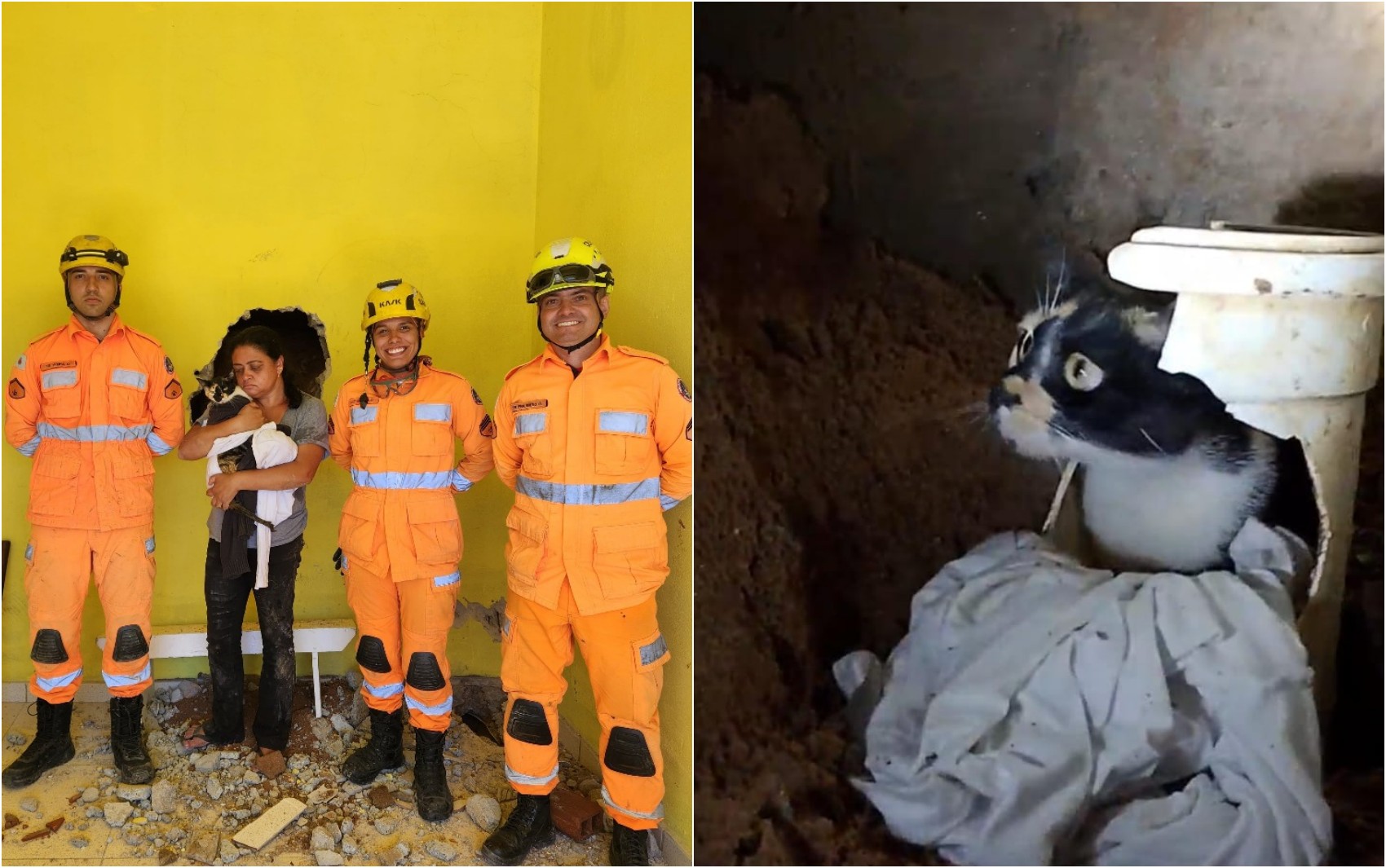 Bombeiros quebram parede e piso de casa para retirar gata presa em Aguanil, MG