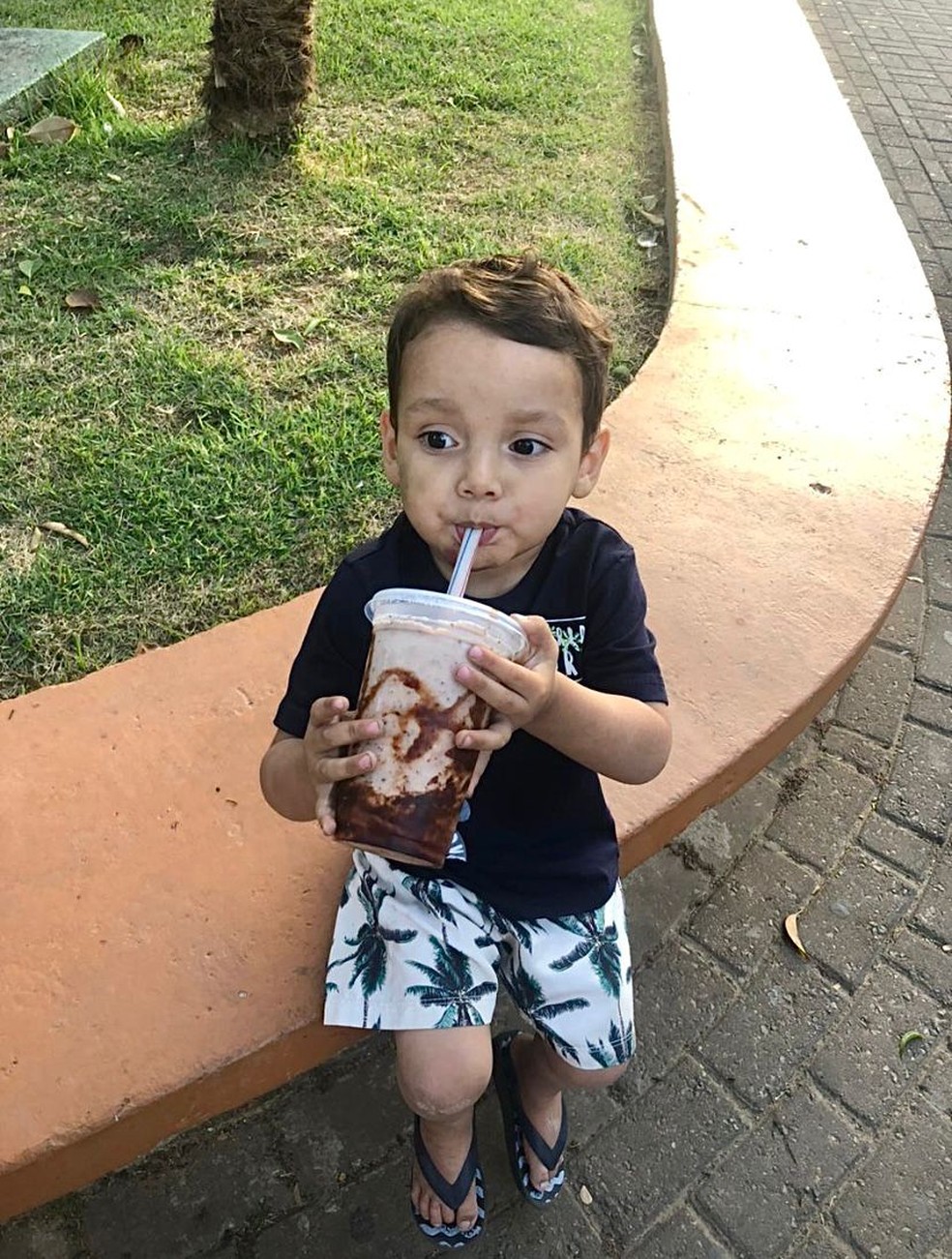 Pedro Henrique Ferreira Danin morreu aos 2 anos em Santa Isabel — Foto: Chaiana Simão de Deus Reis/Arquivo pessoal