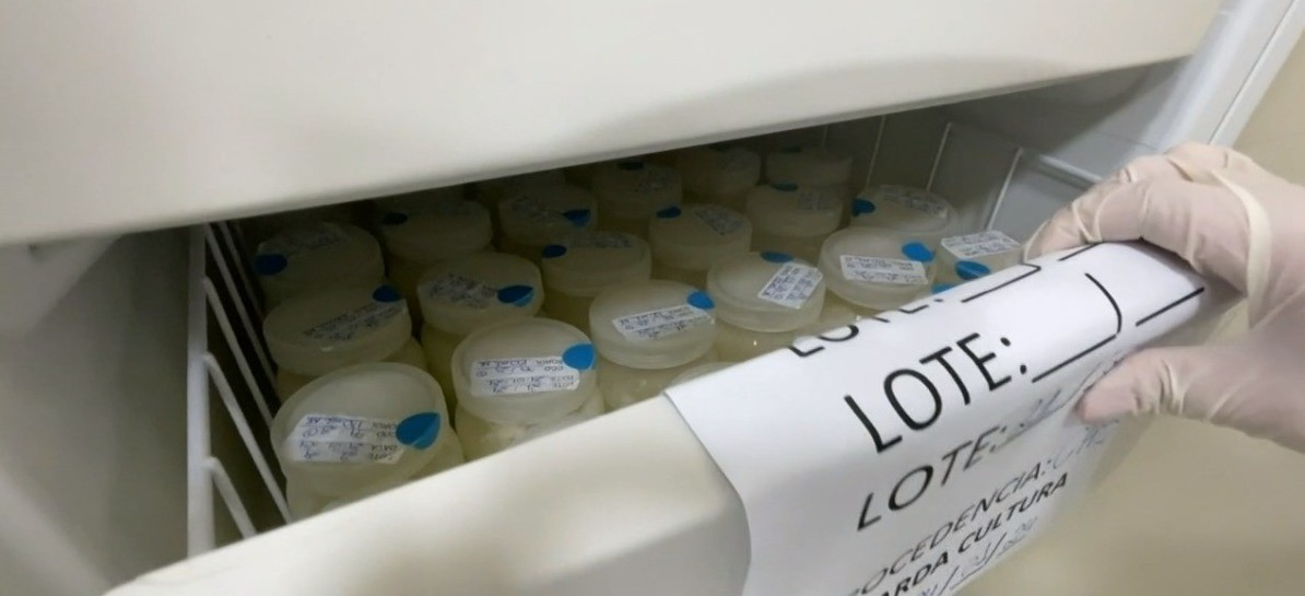 Mais de 900 recém-nascidos do Acre foram beneficiados com doação de leite humano em 2023 