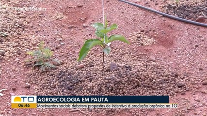 Movimentos sociais debatem propostas de incentivo à produção orgânica no Tocantins