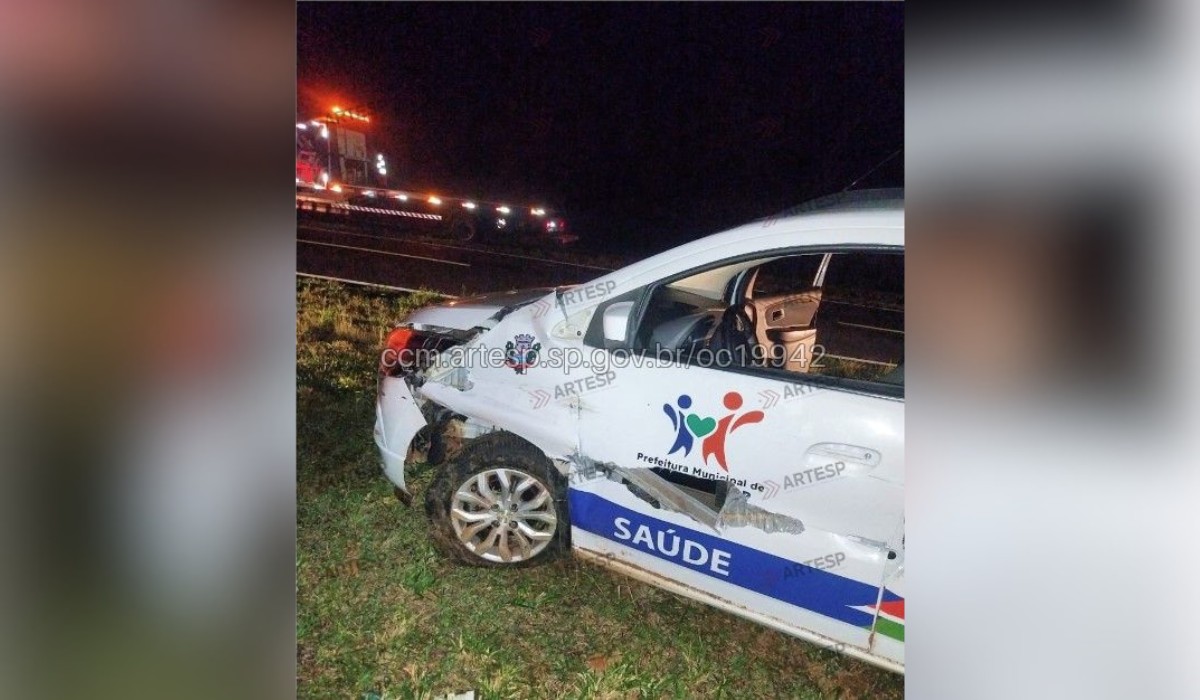 Capivara atravessa pista e provoca acidente com carro da Prefeitura de Piquerobi 