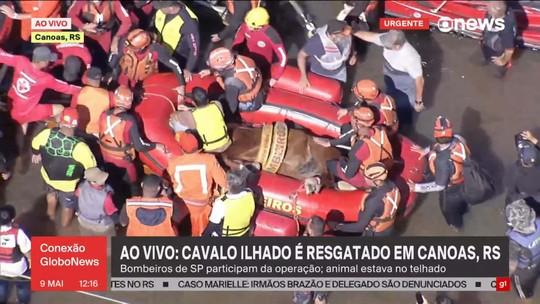Cavalo resgatado de telhado no RS chega a terra firme - Programa: Conexão Globonews 