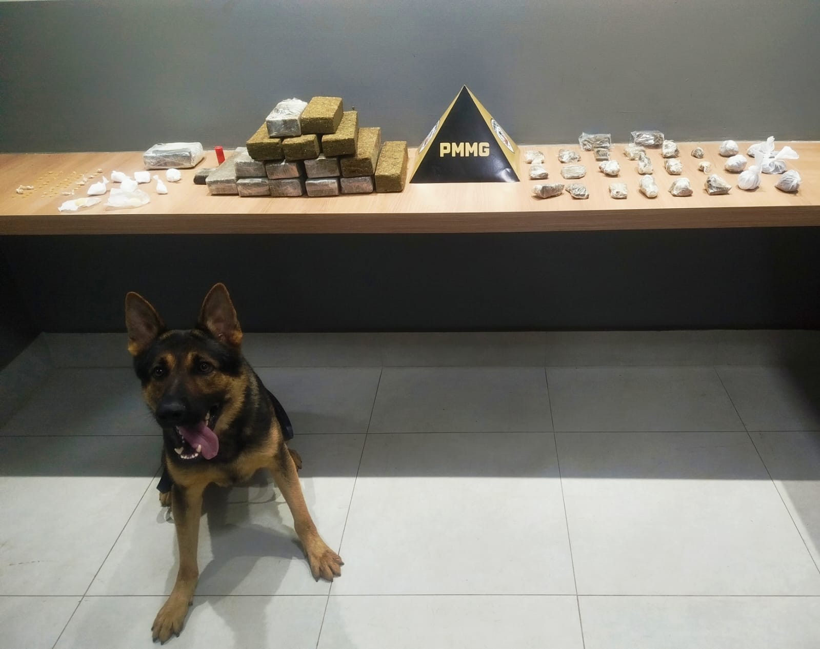 Cão farejador encontra barras de maconha em casa abandonada em Manhuaçu