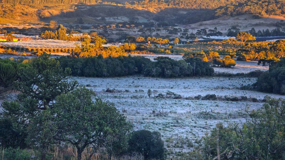 Paisagem em São Joaquim (SC) amanheceu branquinha de geada nesta terça-feira (12) — Foto: Mycchel Legnaghi/Divulgação