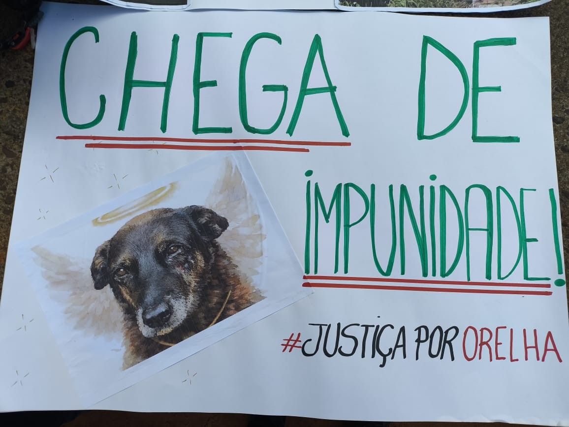 'Justiça por Orelha': ativistas e protetores de animais fazem manifestação contra maus-tratos em cidades do interior de SP