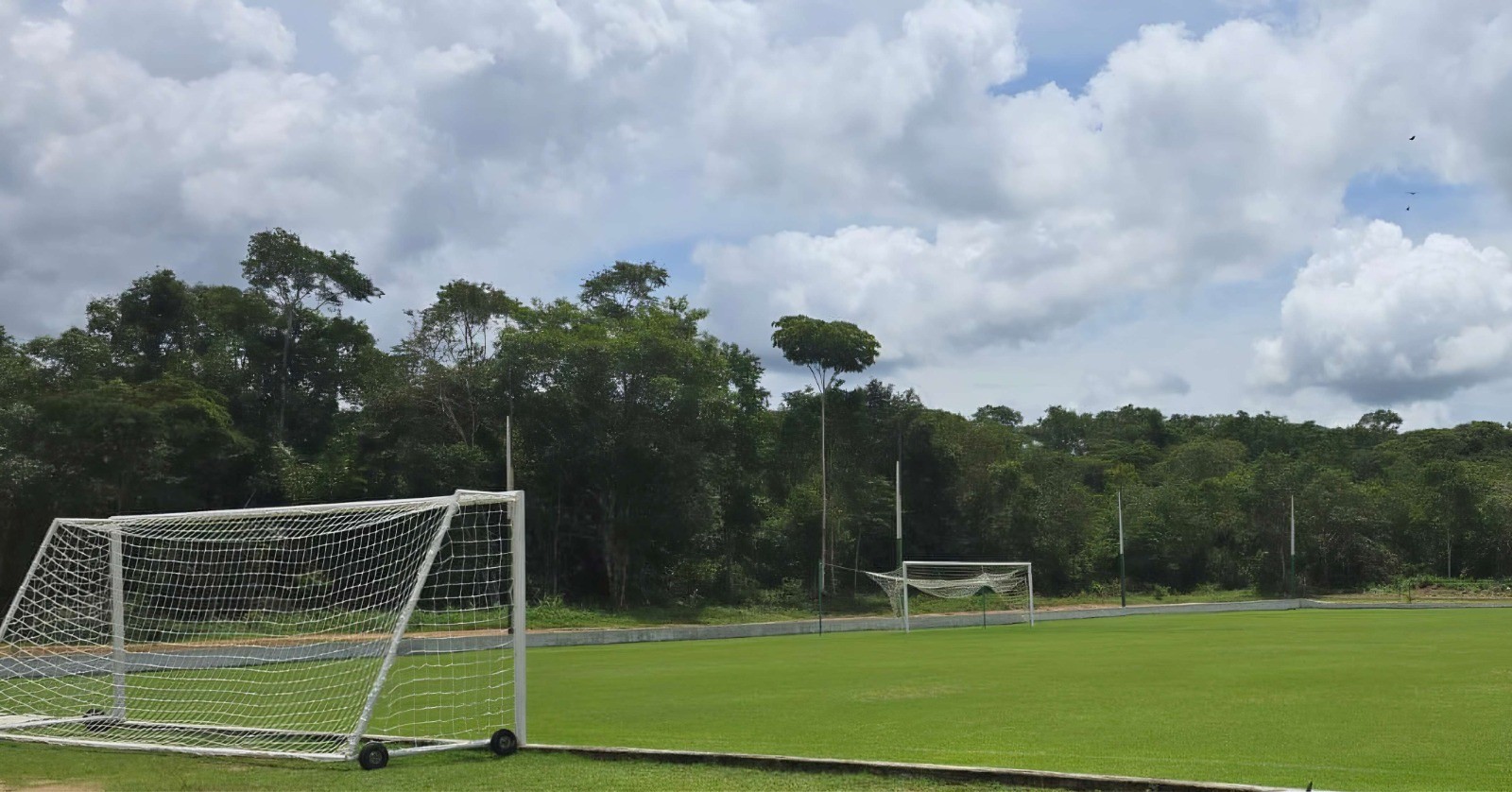 Manaus FC é multado em R$ 83 mil por desmatamento de floresta nativa para construção de CT